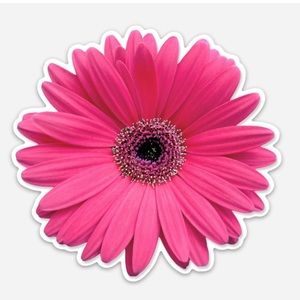 Meet your Posher, Sandy